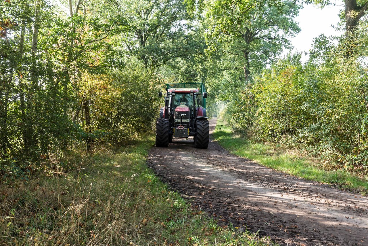 Bild 207 - Maisernte